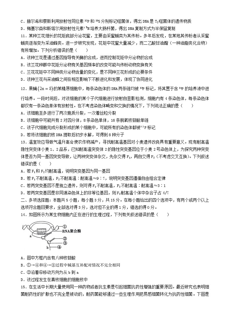 河北省邢台市2024_2025学年高二生物上学期开学考试第3页