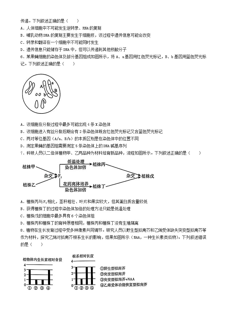 河南省濮阳市2024_2025学年高三生物上学期9月质量检测考试含解析第2页