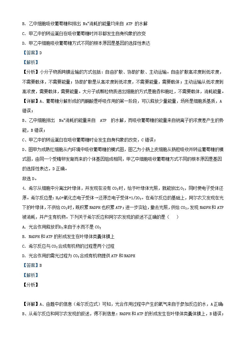湖北省2024_2025学年高三生物上学期9月起点考试试卷含解析第3页