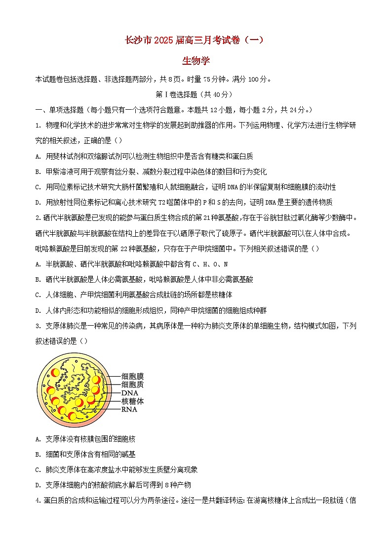 湖南省长沙市2024_2025学年高三生物上学期月考卷一试题第1页