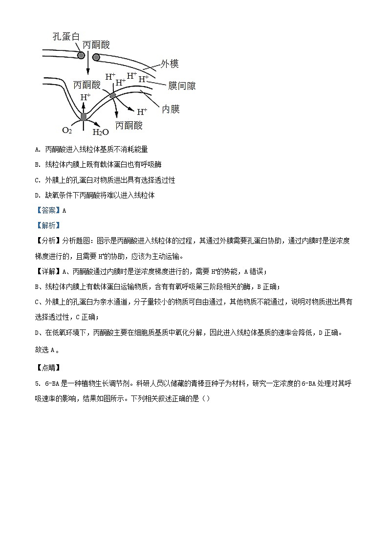 湖南省长沙市开福区2024_2025学年高二生物上学期开学考试试题含解析第3页