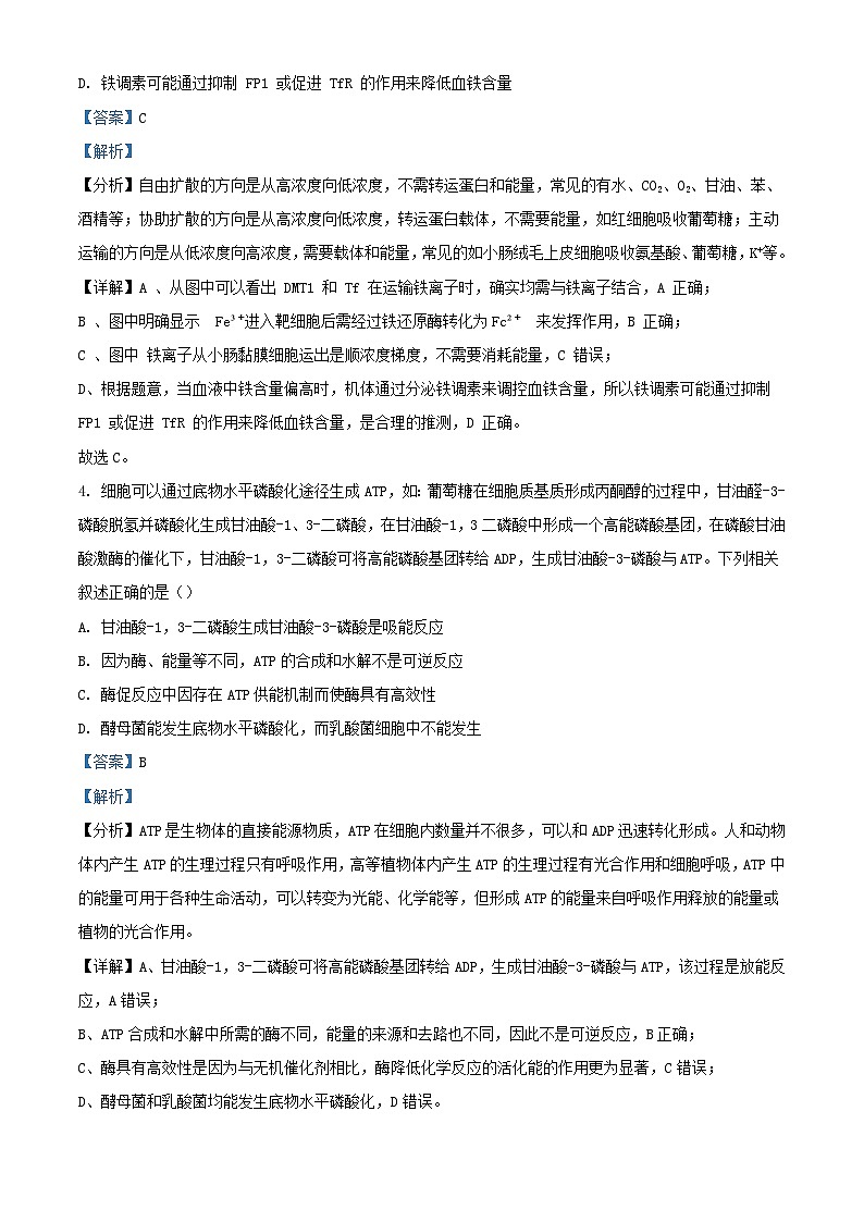 湖南省长沙市2024_2025学年高三生物上学期月考卷一试题含解析第3页