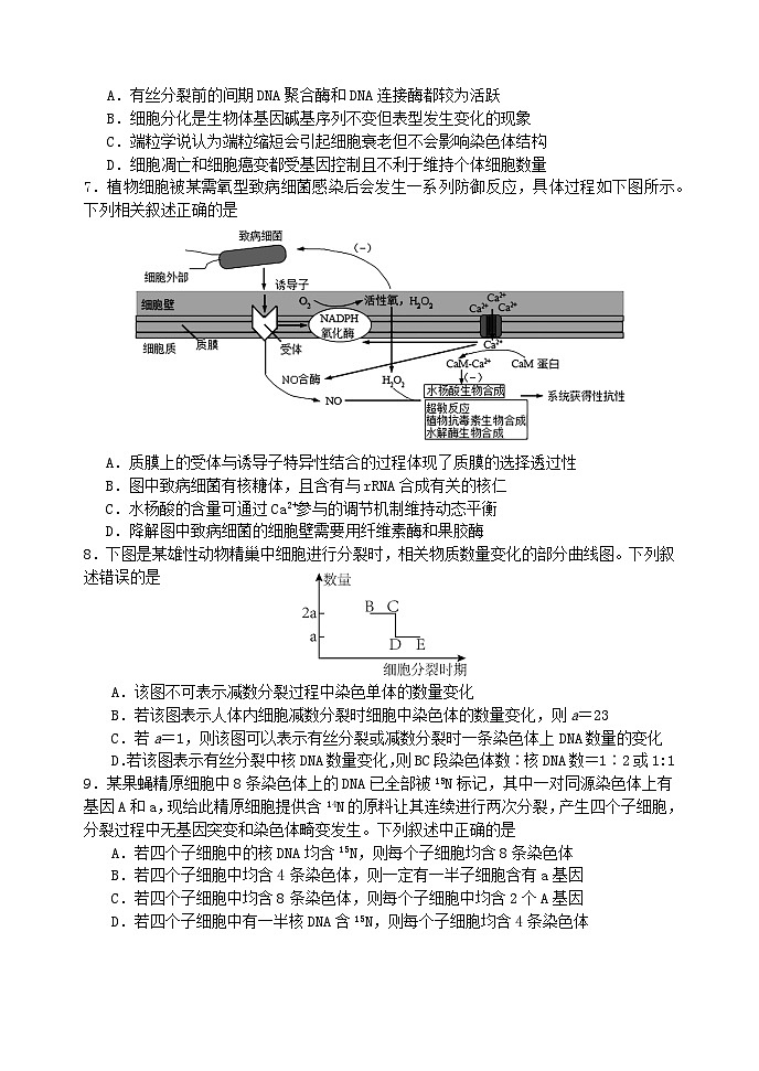 江苏省2024_2025学年高三生物上学期8月开学考试第2页