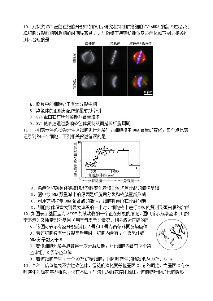 江苏省2024_2025学年高三生物上学期8月开学考试第3页