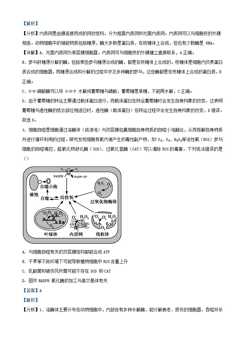 重庆市2024_2025学年高三生物上学期开学考试试题含解析第3页