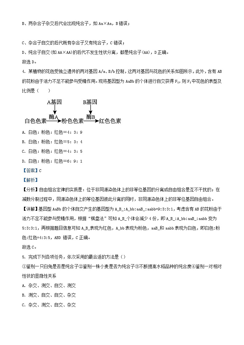 北京市2023_2024学年高一生物下学期3月月考试题含解析第3页