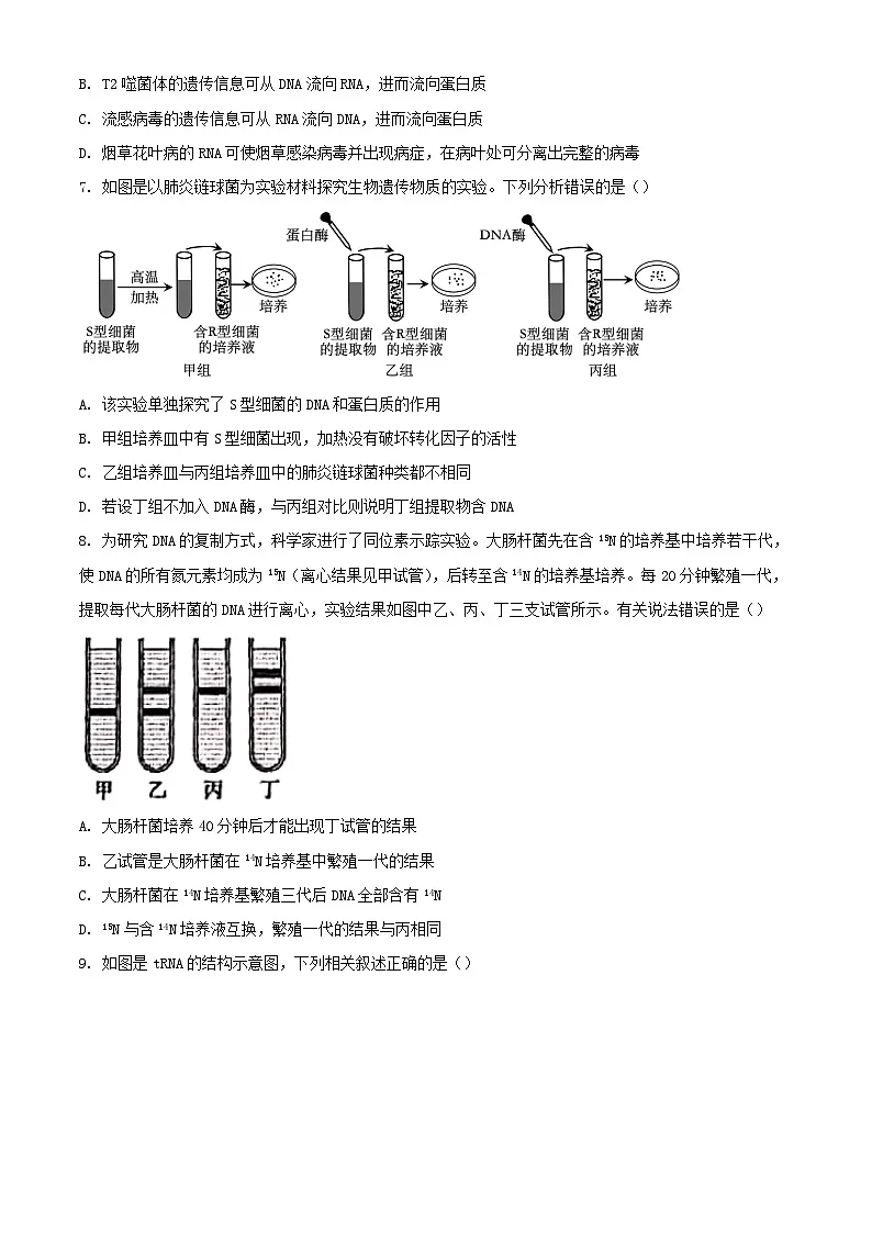 河南省漯河市2023_2024学年高一生物下学期7月月考试题含解析第3页