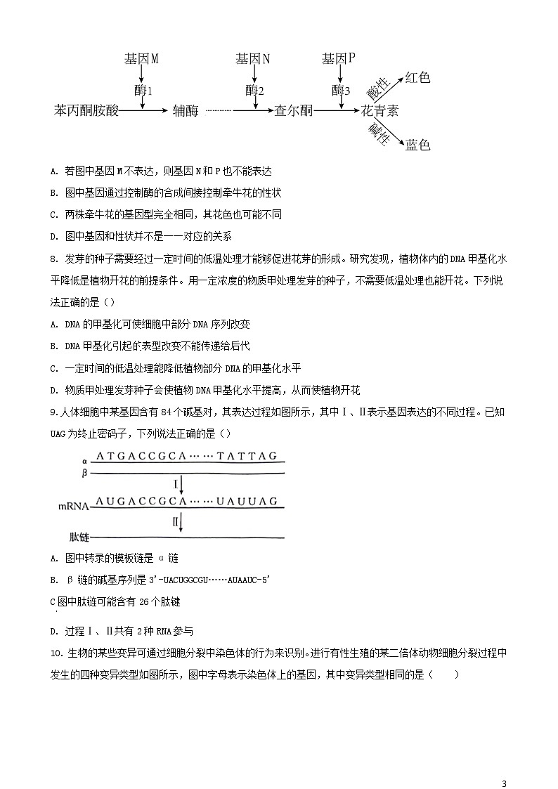 河南省南阳市2023_2024学年高一生物下学期期末考试含解析第3页