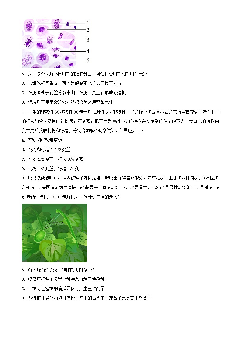 河南省郑州市2023_2024学年高一生物下学期7月期末考试含解析第3页