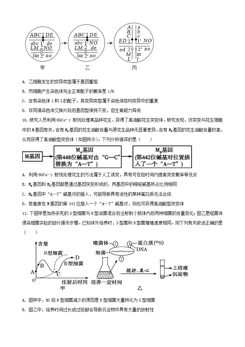 山东省泰安市2023_2024学年高一生物下学期6月月考试题含解析第3页