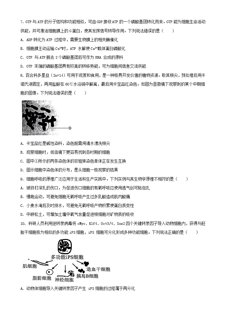 山东省淄博市2023_2024学年高二生物下学期期末考试含解析第3页