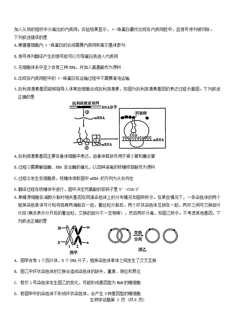 山西省吕梁市2024_2025学年高三生物上学期开学摸底考试含解析第2页