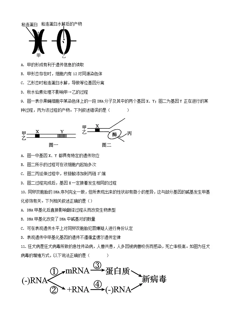 四川省成都市2023_2024学年高一生物下学期7月月考试题含解析第3页