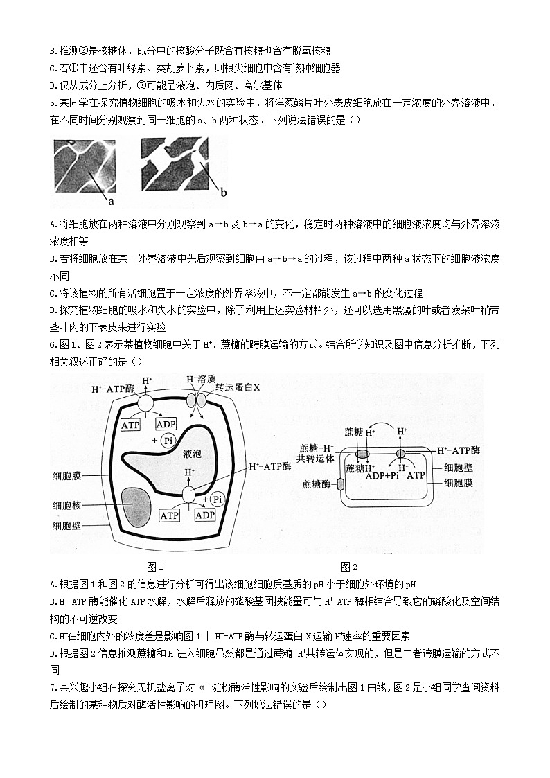 四川省成都市2024_2025学年高三生物上学期入学考试含解析第2页