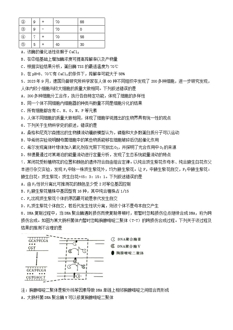 重庆市2024届高三生物下学期5月第九次模拟预测试题含解析第2页