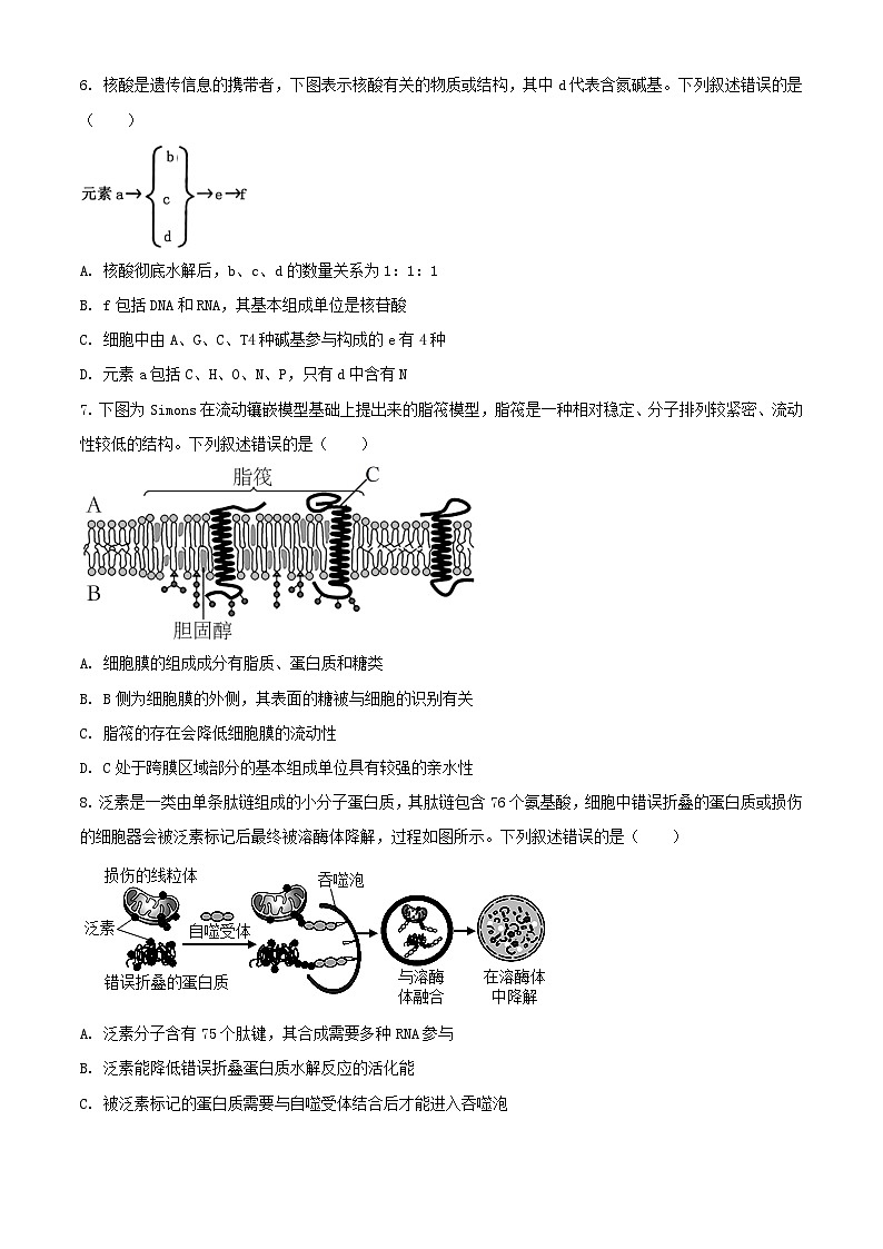 重庆市2023_2024学年高二生物下学期7月期末考试含解析第3页