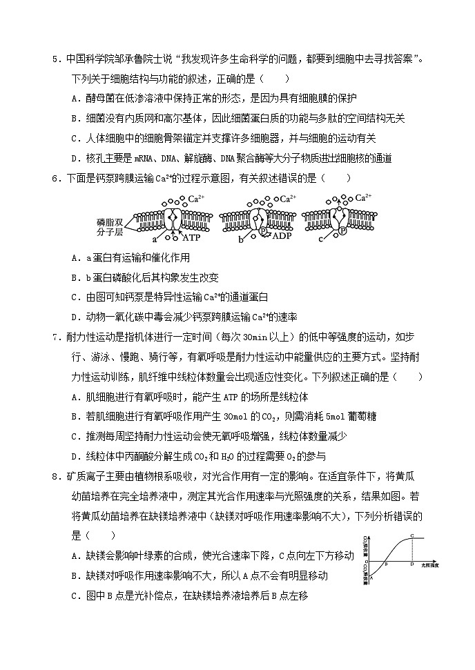 四川省广安市华蓥市2024_2025学年高三生物上学期8月月考试题含解析第2页
