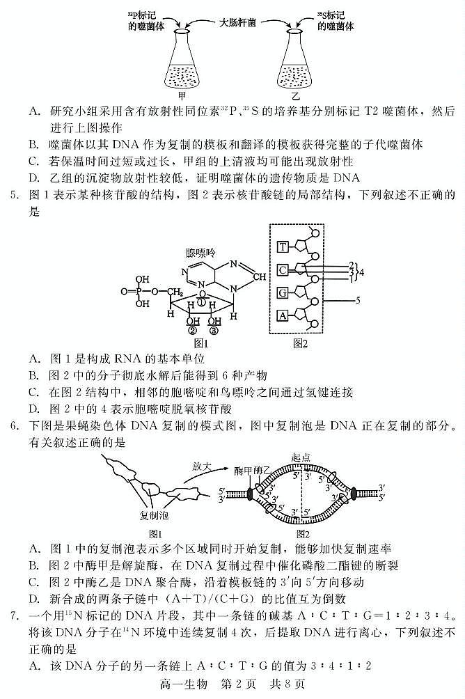 河北省张家口与石家庄地区部分学校2024-2025学年第二学期高一年级6月月考生物试卷（含答案） 202506高一月考（生物）第2页