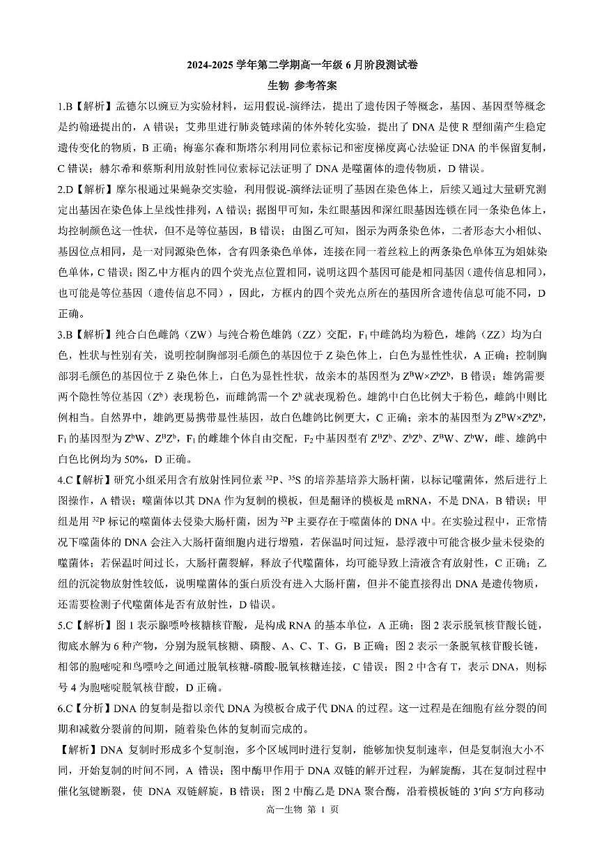 河北省张家口与石家庄地区部分学校2024-2025学年第二学期高一年级6月月考生物试卷（含答案） 202506高一月考 答案（生物）第1页