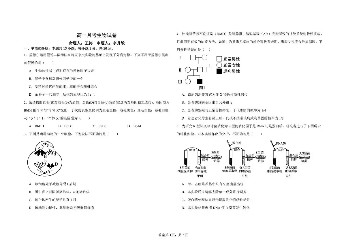 河北省邯郸市大名县第一中学2024-2025学年高一下学期5月月考生物试题第1页