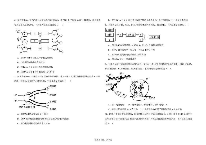 河北省邯郸市大名县第一中学2024-2025学年高一下学期5月月考生物试题第2页