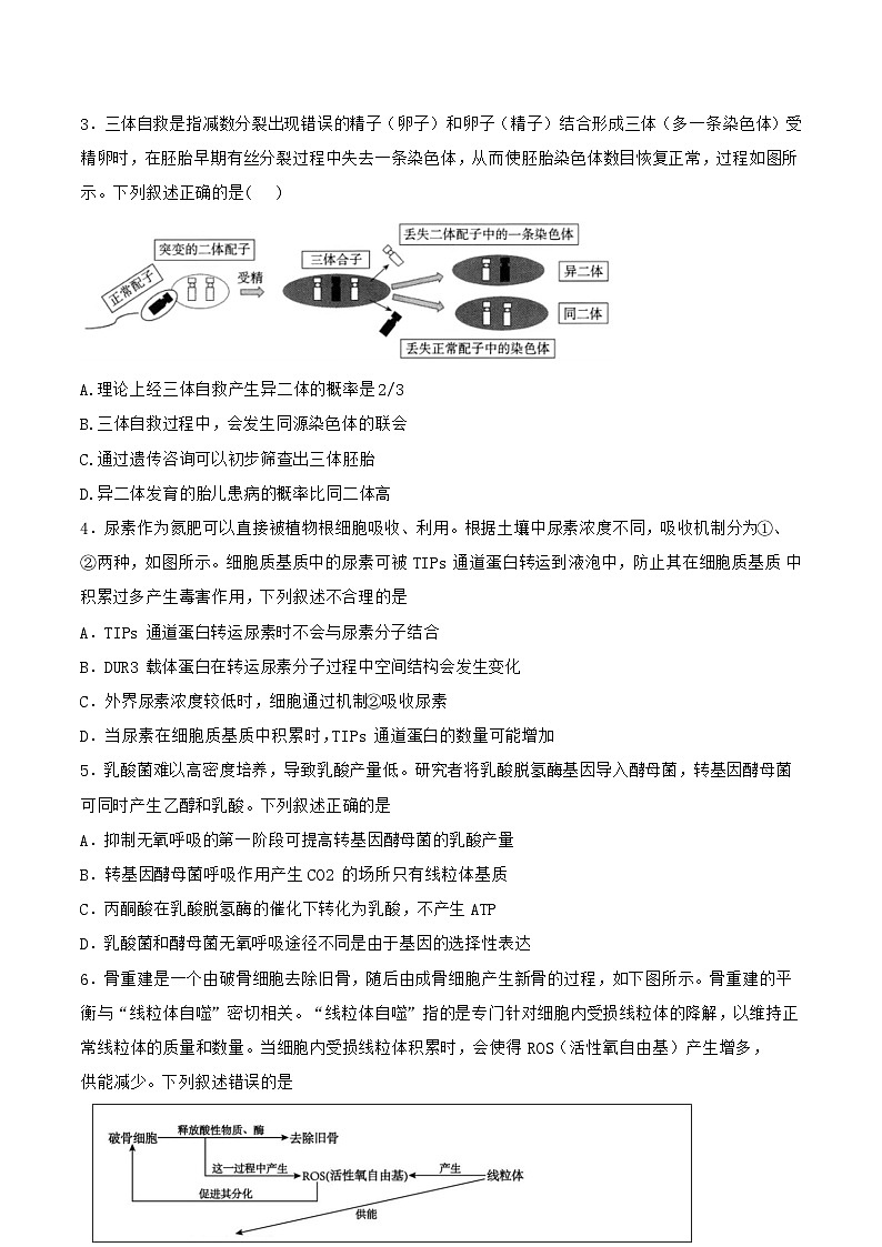 河南省商丘市2024-2025学年高三下学期5月期末生物试题第2页