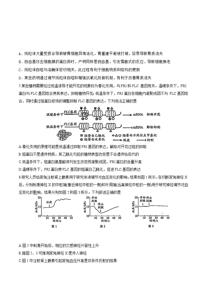 河南省商丘市2024-2025学年高三下学期5月期末生物试题第3页