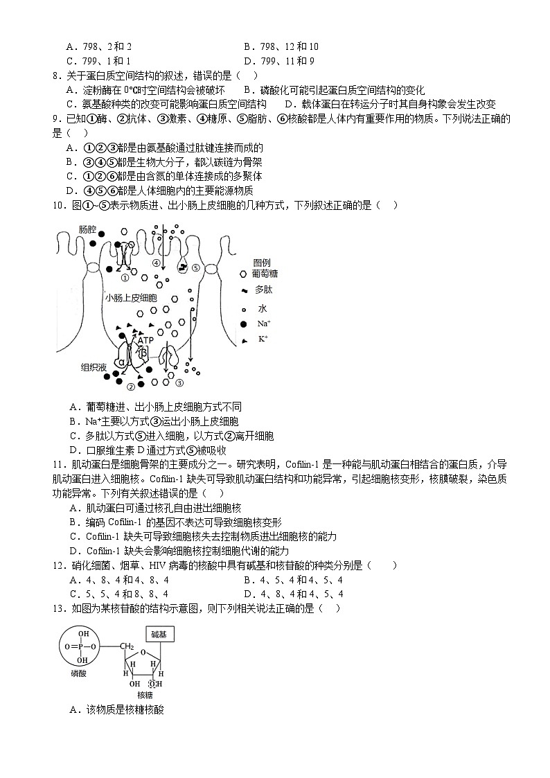 河南省驻马店市新蔡县第一高级中学2024-2025学年高二下学期6月月考生物试题第2页