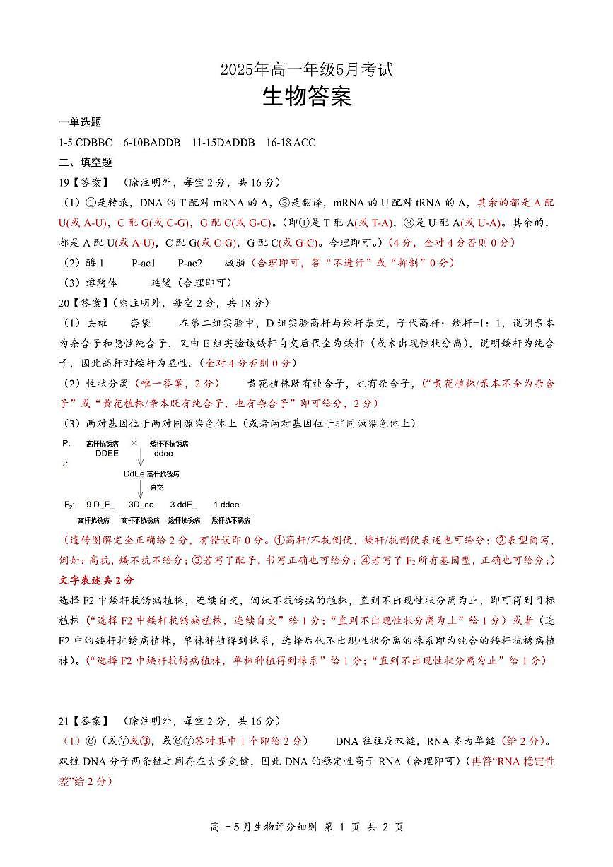 5月高一生物评分细则定版第1页