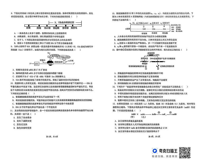 湖南省长沙市雅礼教育集团2024-2025学年高一下学期5月月考生物试题第2页