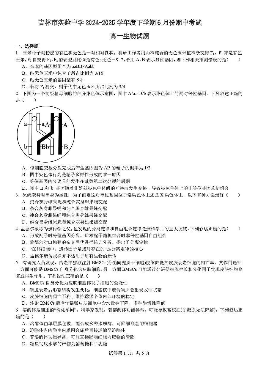 吉林省吉林市船营区吉林市实验中学2024-2025学年高一下学期6月期中生物试题第1页