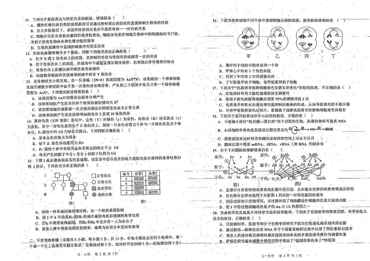 吉林省延边朝鲜族自治州延吉市延边第二中学2024-2025学年高一下学期6月月考生物试题第2页