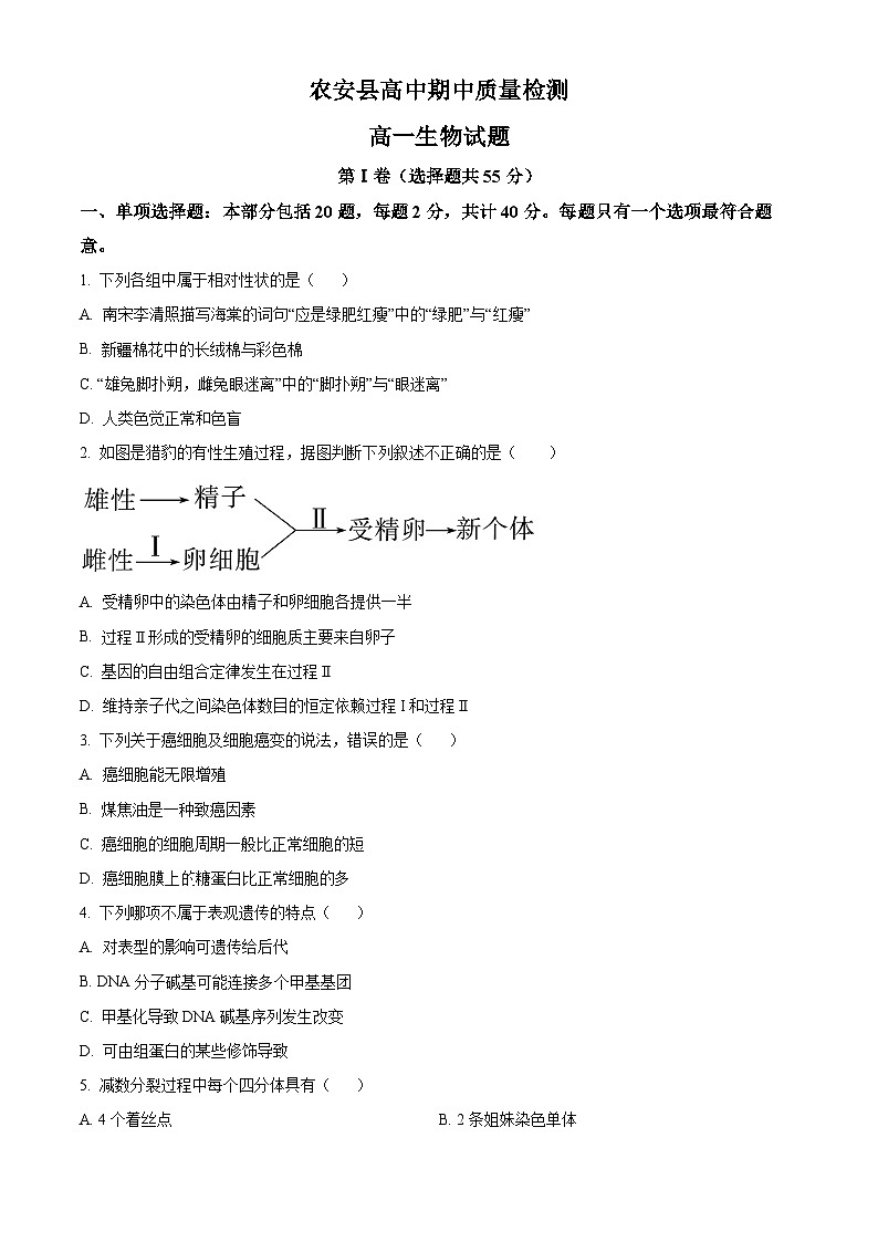吉林省长春市农安县2024-2025学年高一下学期期中检测生物试题第1页