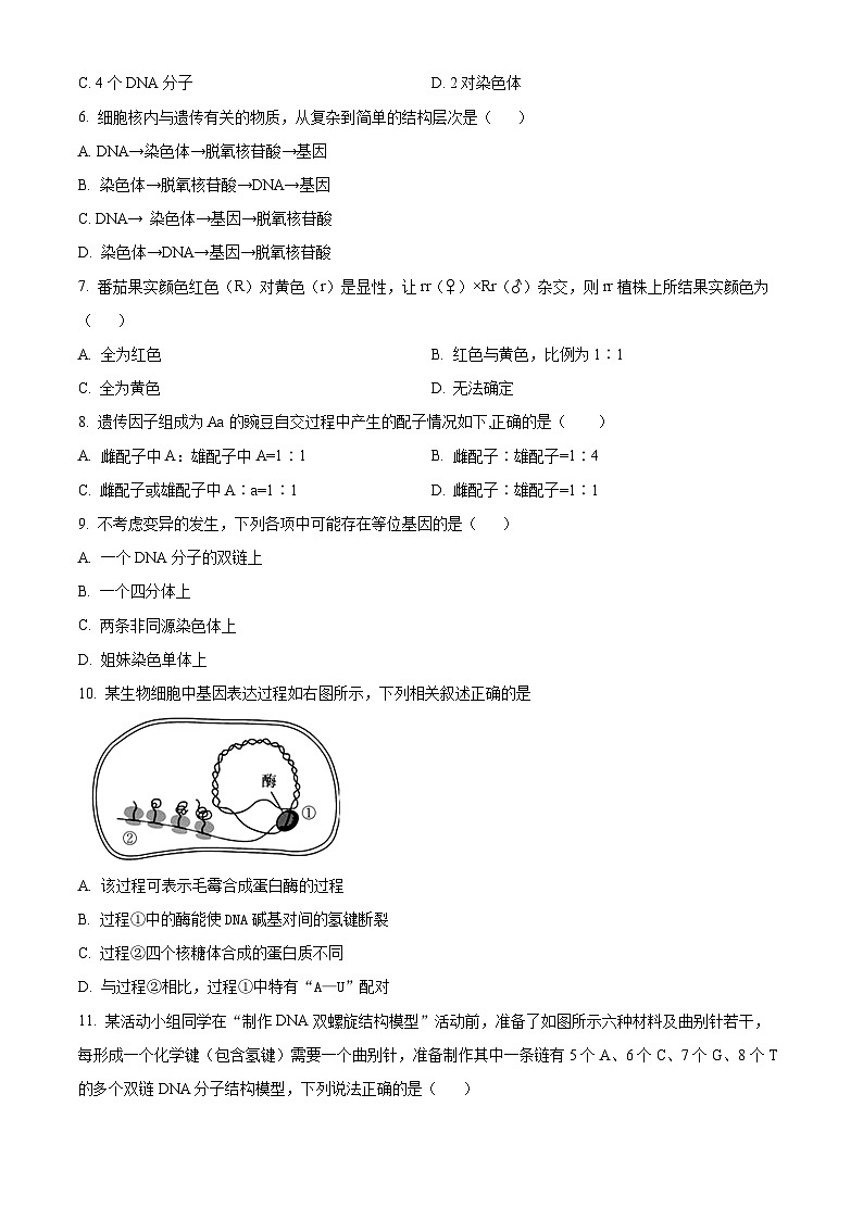吉林省长春市农安县2024-2025学年高一下学期期中检测生物试题第2页