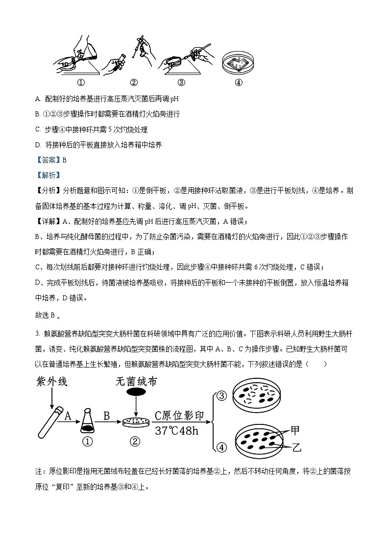 江苏省淮安市协作体联盟校2024-2025学年高二下学期4月期中生物试题（解析版）第2页