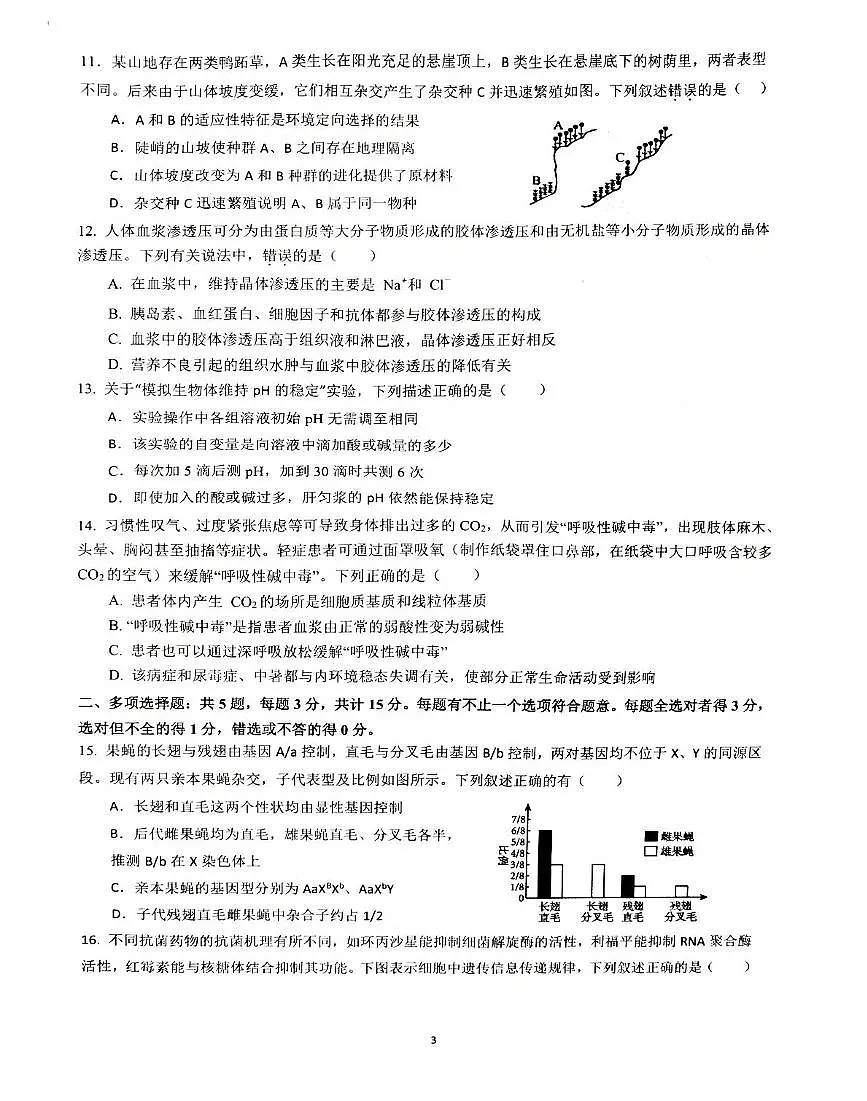 江苏省联考2024-2025学年高一下学期5月月考生物试题第3页