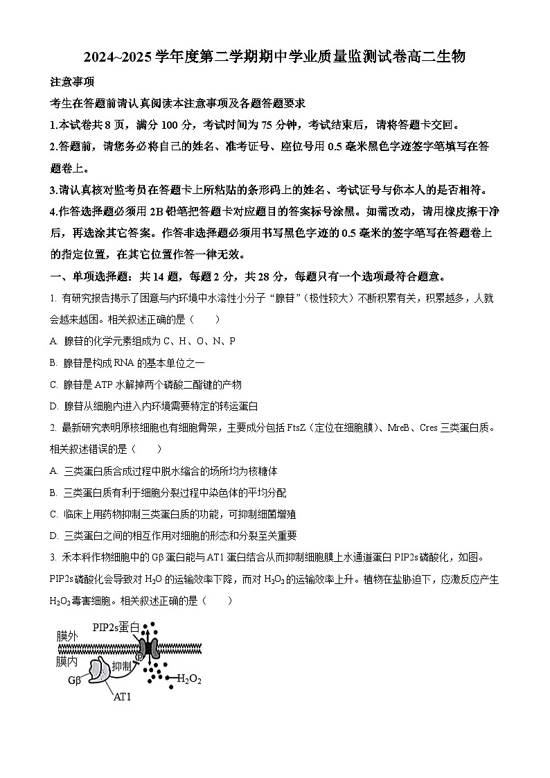 江苏省南通市海安市2024-2025学年高二下学期4月期中生物试题（原卷版）第1页