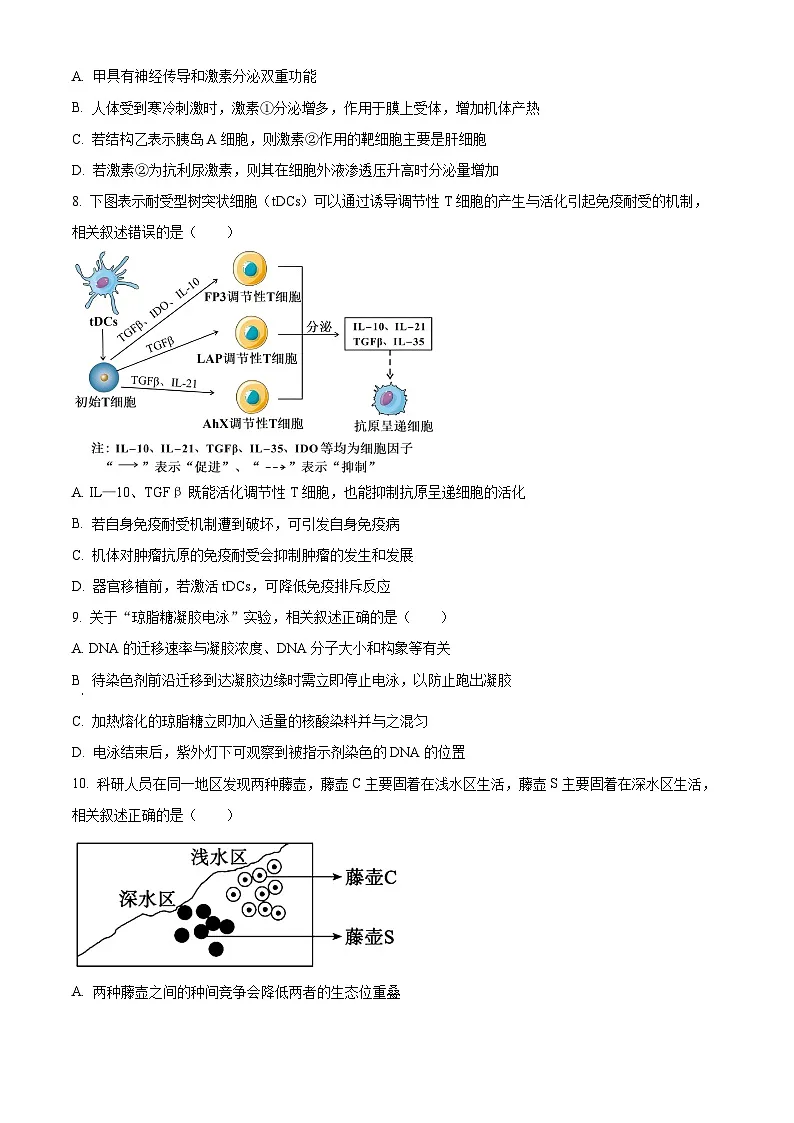 江苏省南通市海安市2024-2025学年高二下学期4月期中生物试题（原卷版）第3页