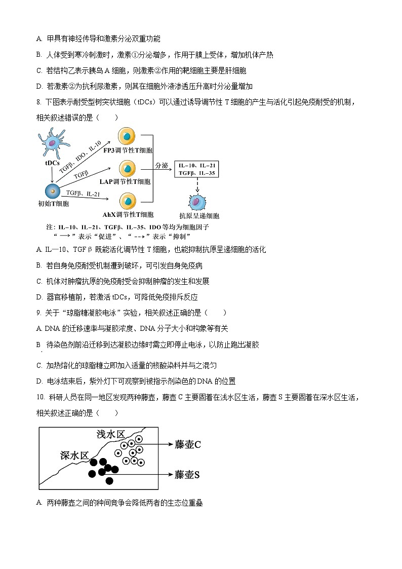 江苏省南通市海安市2024-2025学年高二下学期4月期中生物试题（原卷版）第3页