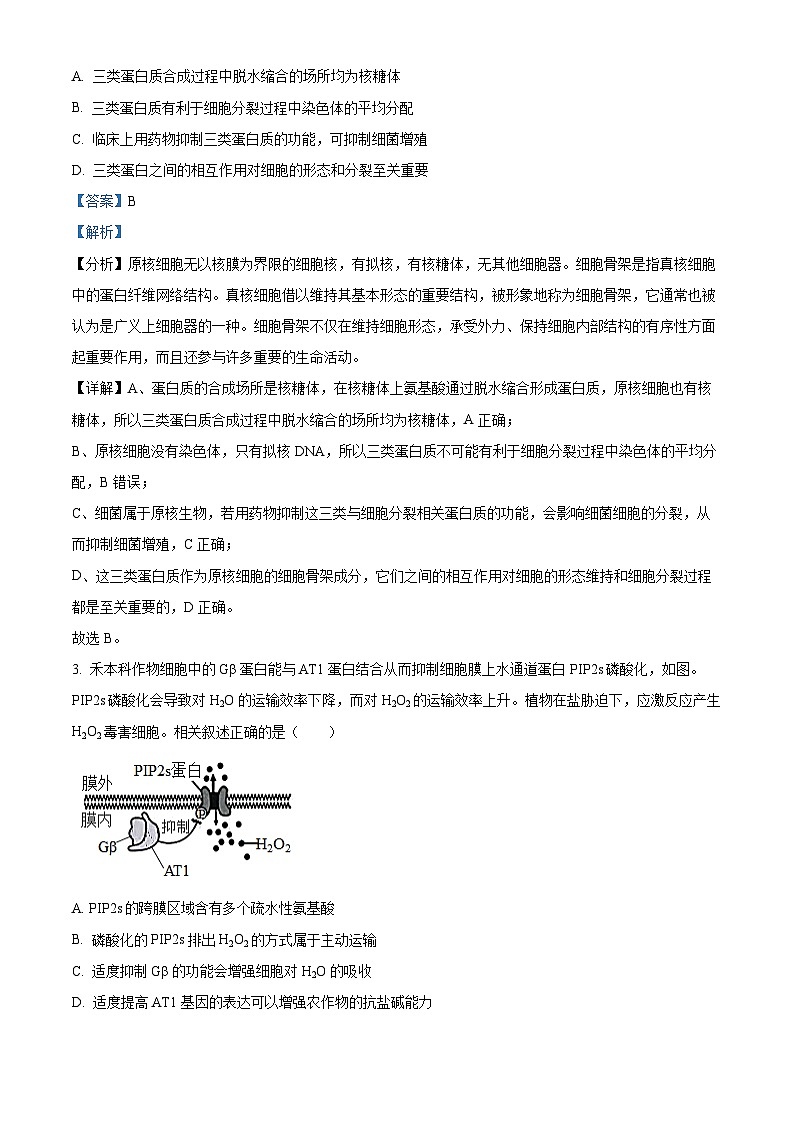 江苏省南通市海安市2024-2025学年高二下学期4月期中生物试题（解析版）第2页