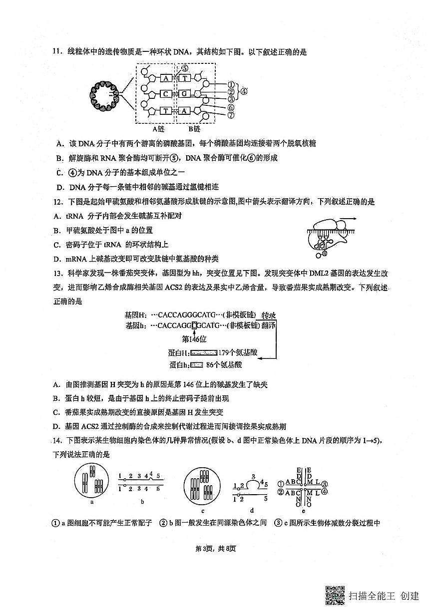 江苏省南通市海安市实验中学2024-2025学年高一下学期5月月考生物试题第3页