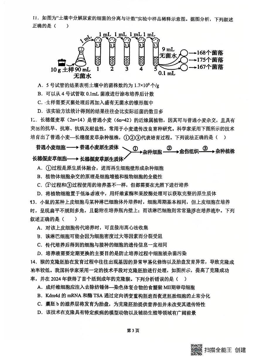 江苏省苏州市苏州大学附属中学2024—2025学年高二下学期5月考试生物试题第3页