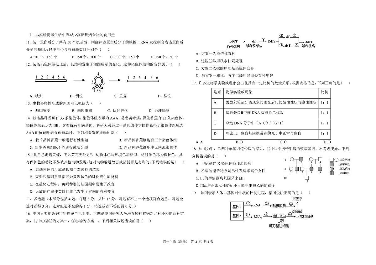 江苏省五市十一校2024-2025学年高一下学期5月阶段联考生物试题（选修）第2页