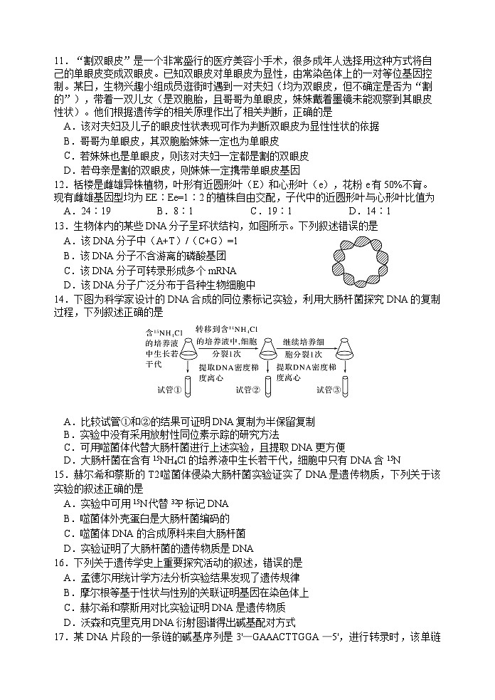 江苏省扬州市广陵区江苏省扬州中学2024-2025学年高一下学期5月月考生物试题第3页