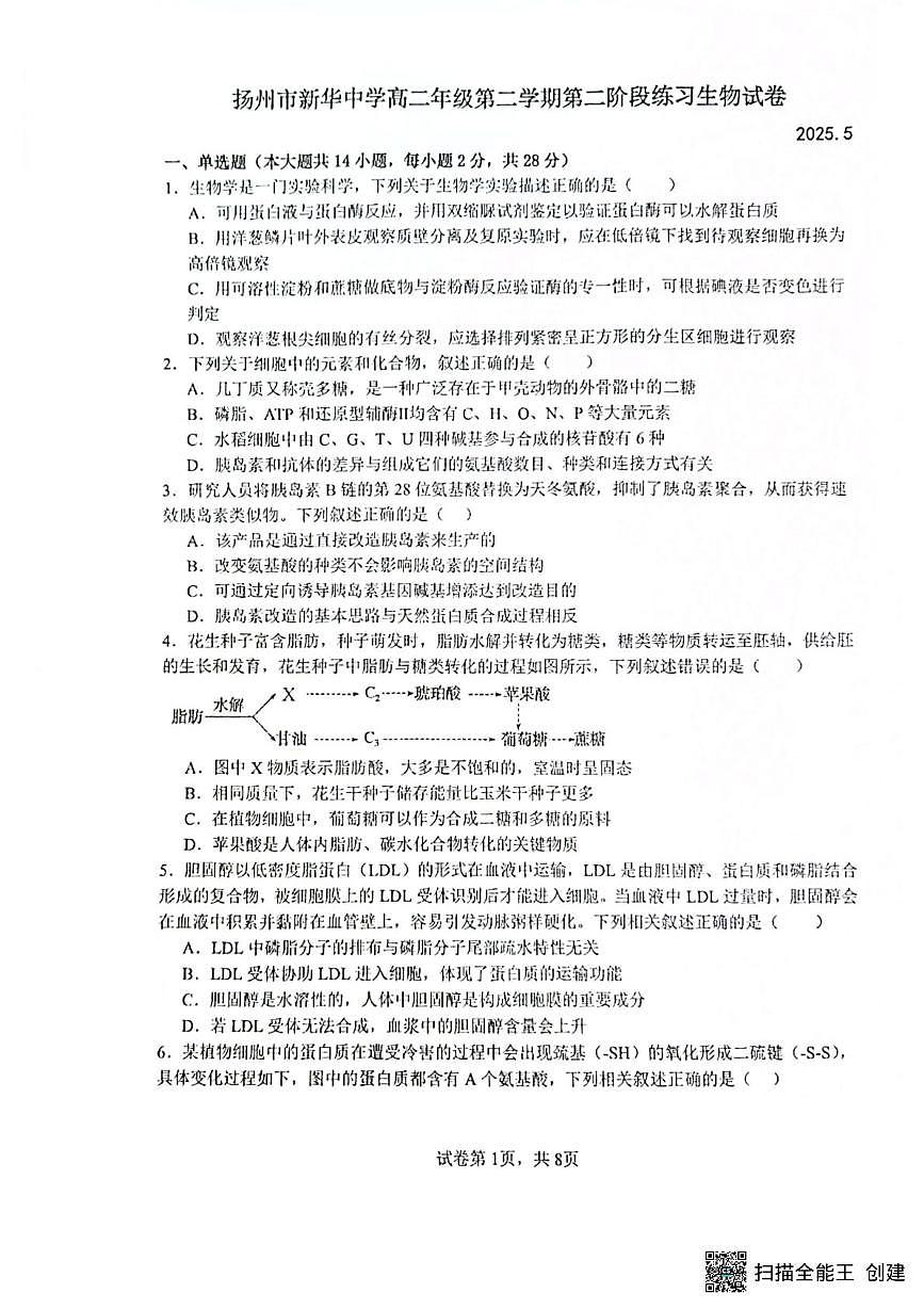 江苏省扬州市广陵区扬州市新华中学2024-2025学年高二下学期5月月考生物试题第1页