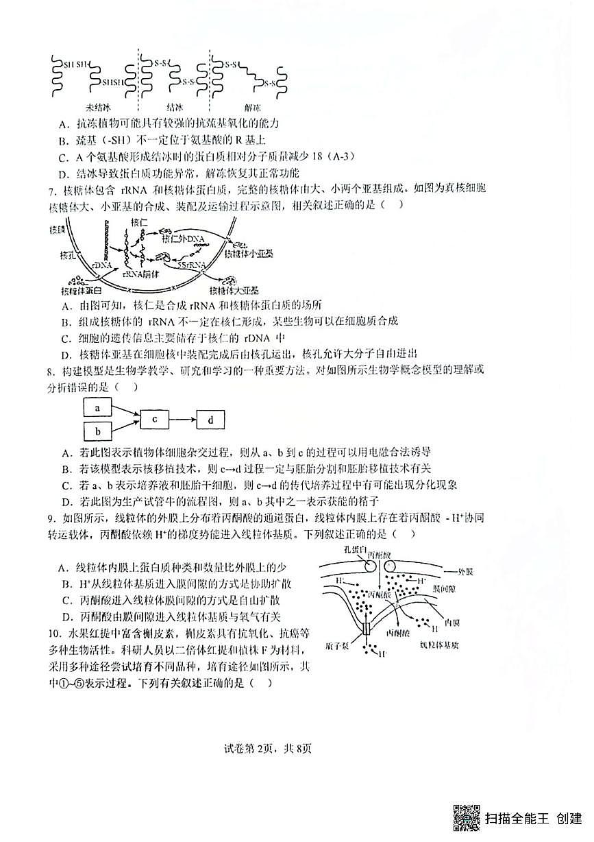 江苏省扬州市广陵区扬州市新华中学2024-2025学年高二下学期5月月考生物试题第2页