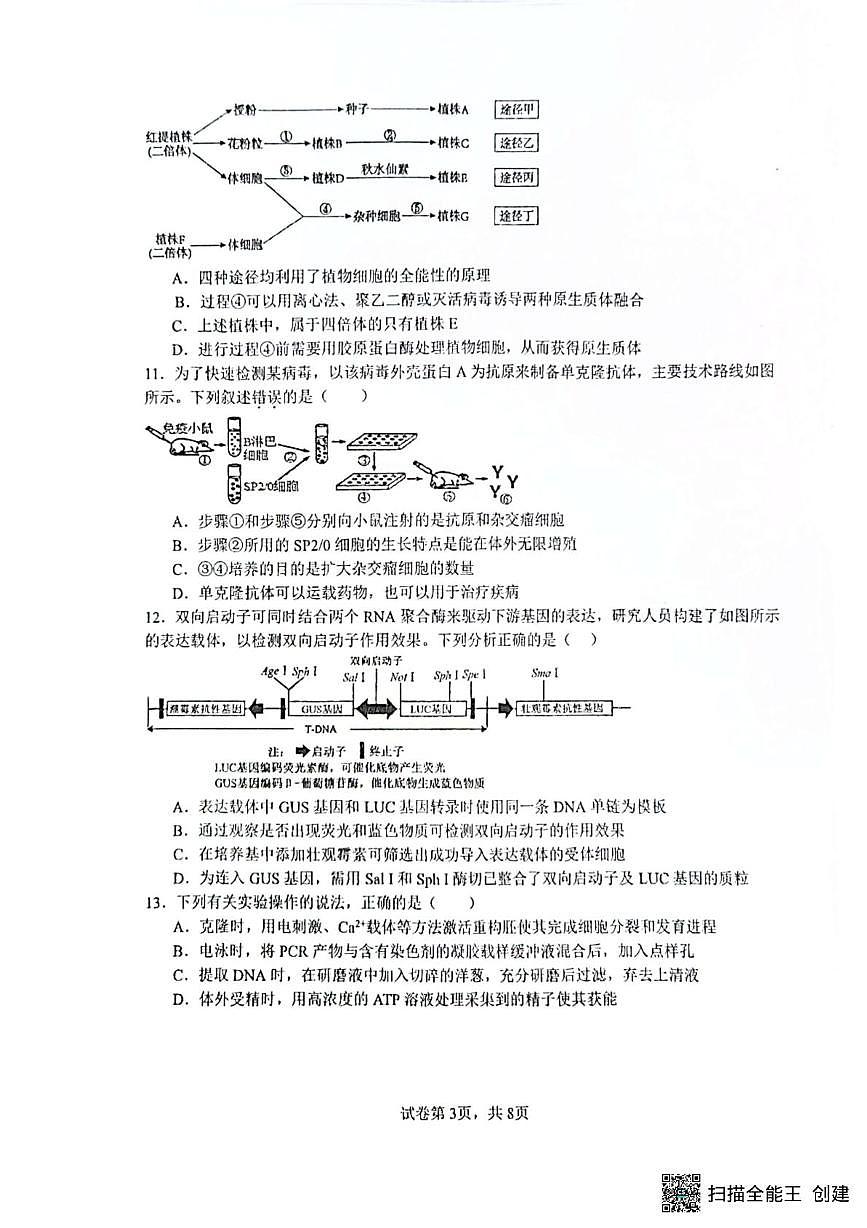 江苏省扬州市广陵区扬州市新华中学2024-2025学年高二下学期5月月考生物试题第3页