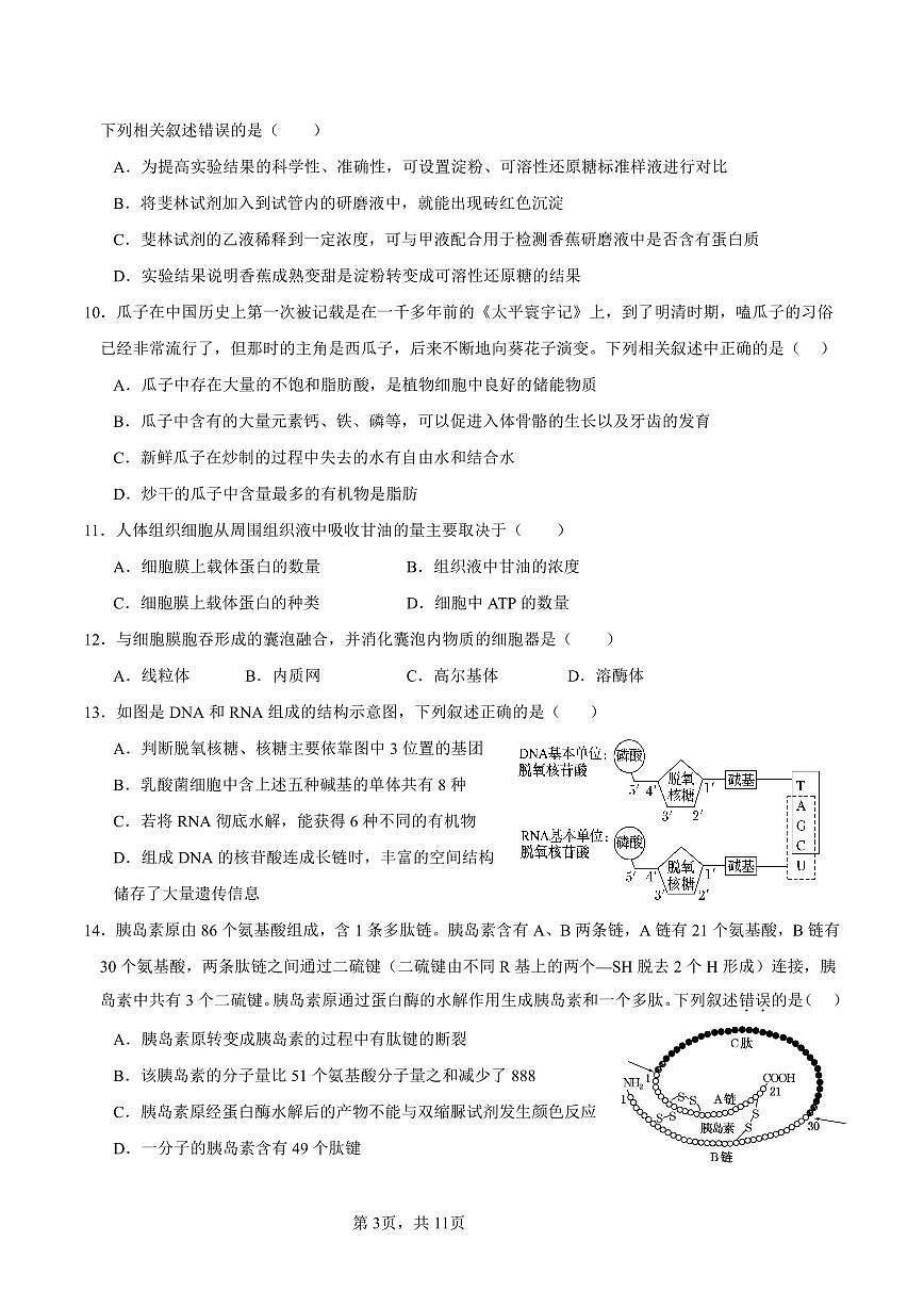 四川省眉山市仁寿县第一中学校南校区2024-2025学年高一上学期9月入学考试生物试题第3页