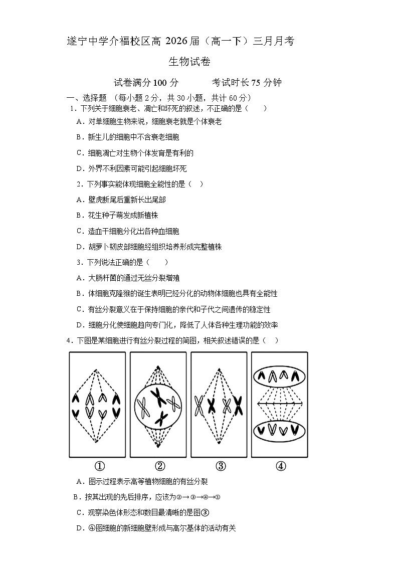 四川省遂宁中学2023-2024高一下学期3月月考生物试题第1页