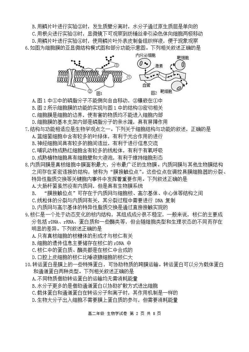 四川省宜宾市2023-2024学年高二下学期期末考试生物试题第2页